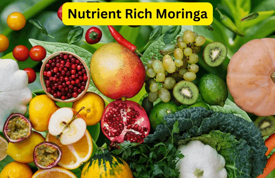 Nutrient rich Moringa